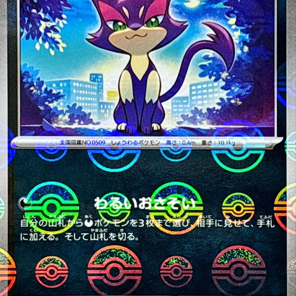 Products – Page 53