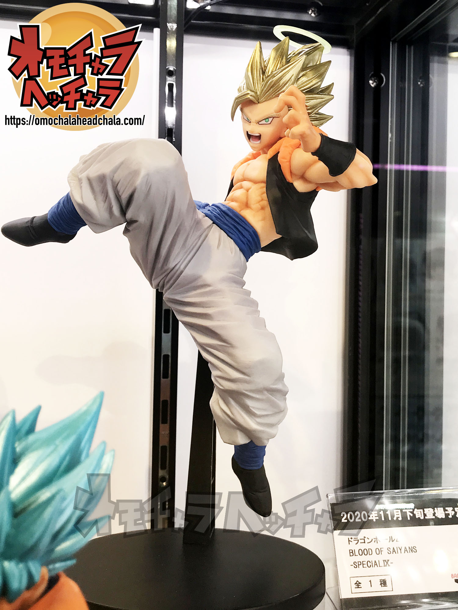 超ゴジータ（超サイヤ人状態）レビュー】BLOOD OF SAIYANS-SPECIALⅨ