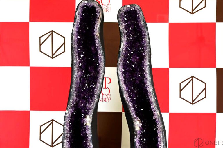 アメジストドーム アメジストカペーラ -株式会社オンビル-