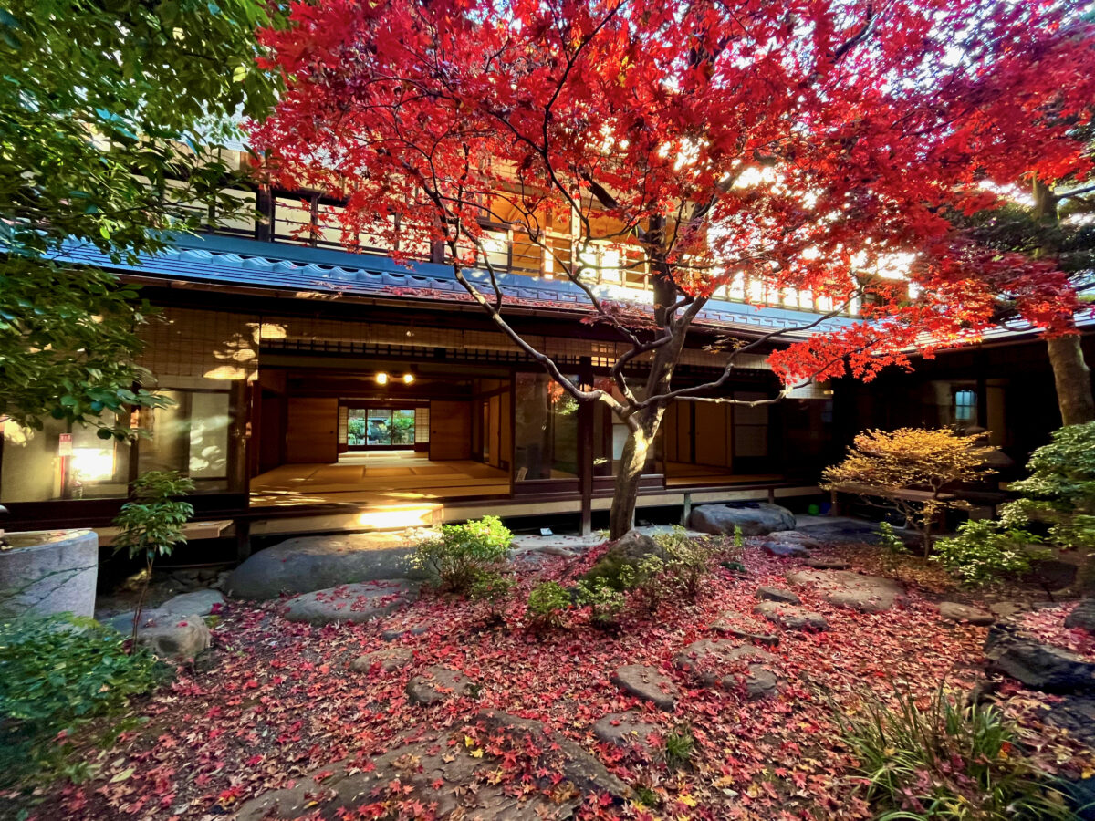 幽玄焼 京都四条たち吉 青嵐窯 『東大寺鉄湯称写 花生水盤』 中鉢 和