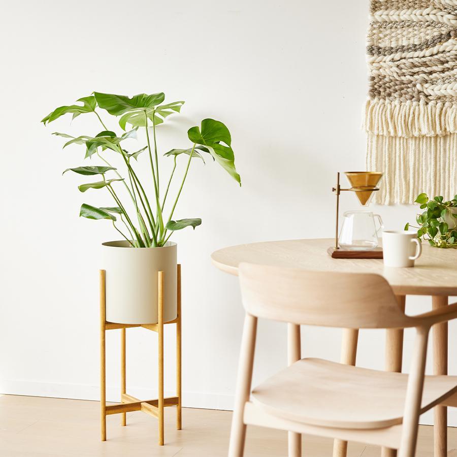 YAMATEI | プラントポット / フェルム シリンダー （直径26cm