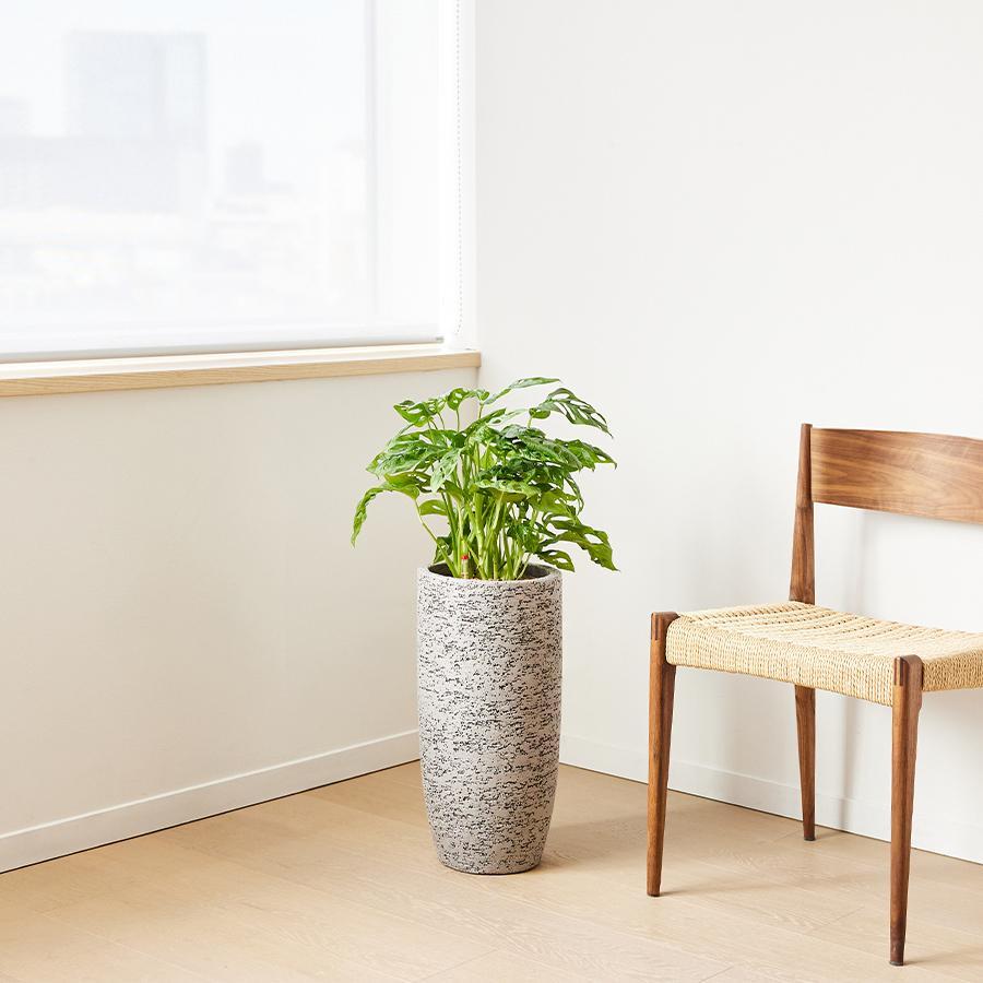 stem | プランターカバー F1810 トールサイズ （直径24cm） グレー