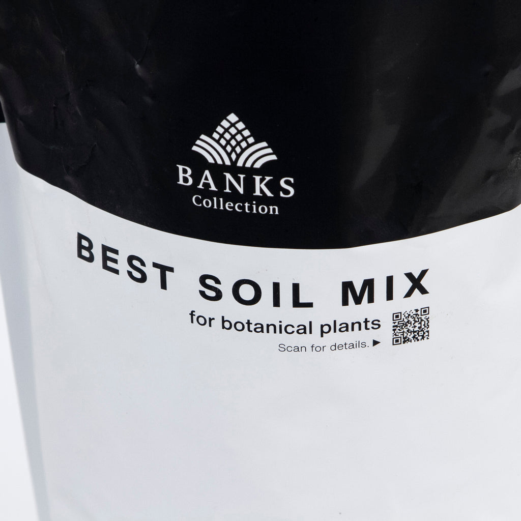 ベストソイルミックス ／BEST SOIL MIX 3L 【BANKS Collection】