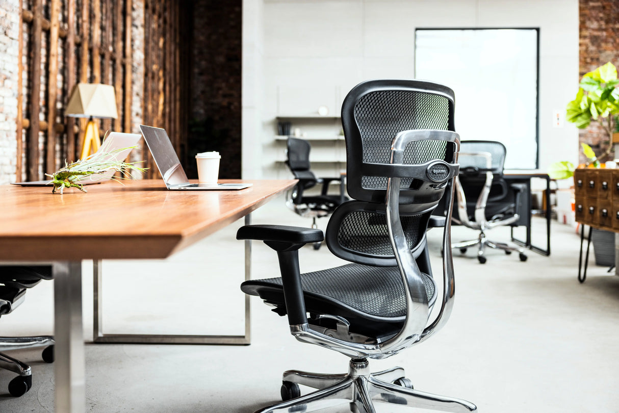 Ergohuman Pro2（エルゴヒューマン プロ2） ロータイプ メッシュチェア