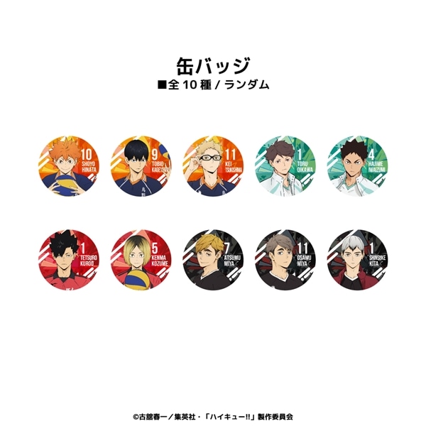 ハイキュー!! | ランダム缶バッジ (全10種) | BOX (全10種コンプリート