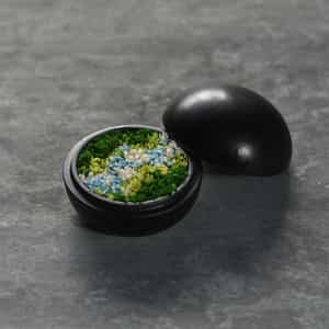 ホーム｜公式通販 バーニーズ ニューヨーク｜BARNEYS NEW YORK ONLINE