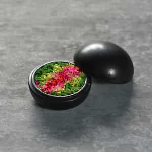 ホーム｜公式通販 バーニーズ ニューヨーク｜BARNEYS NEW YORK ONLINE