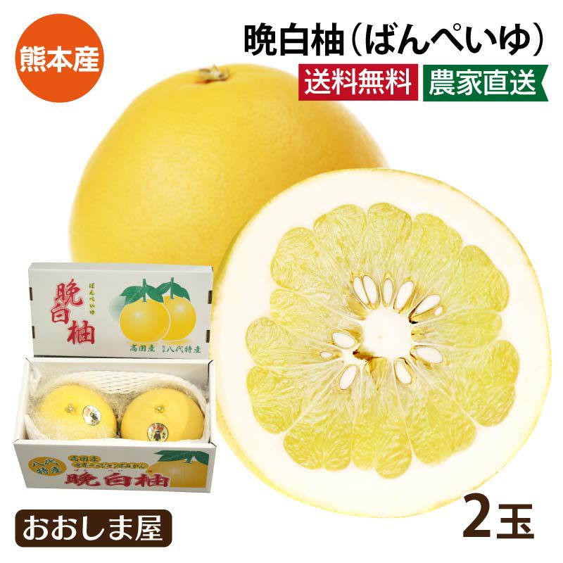 晩白柚 Lサイズ 2玉入り 送料無料 ＜12月上旬より順次出荷＞ 熊本産