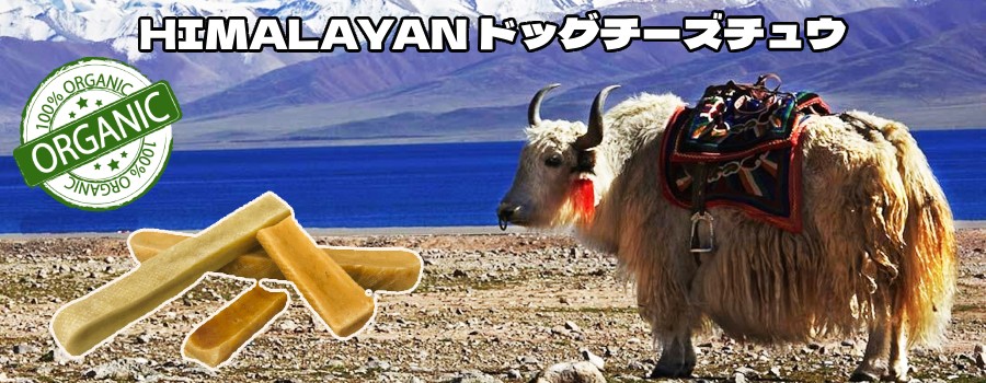 ヒマラヤ ドッグチーズチュウ] XLサイズ 5本入り チーズ犬用おやつ