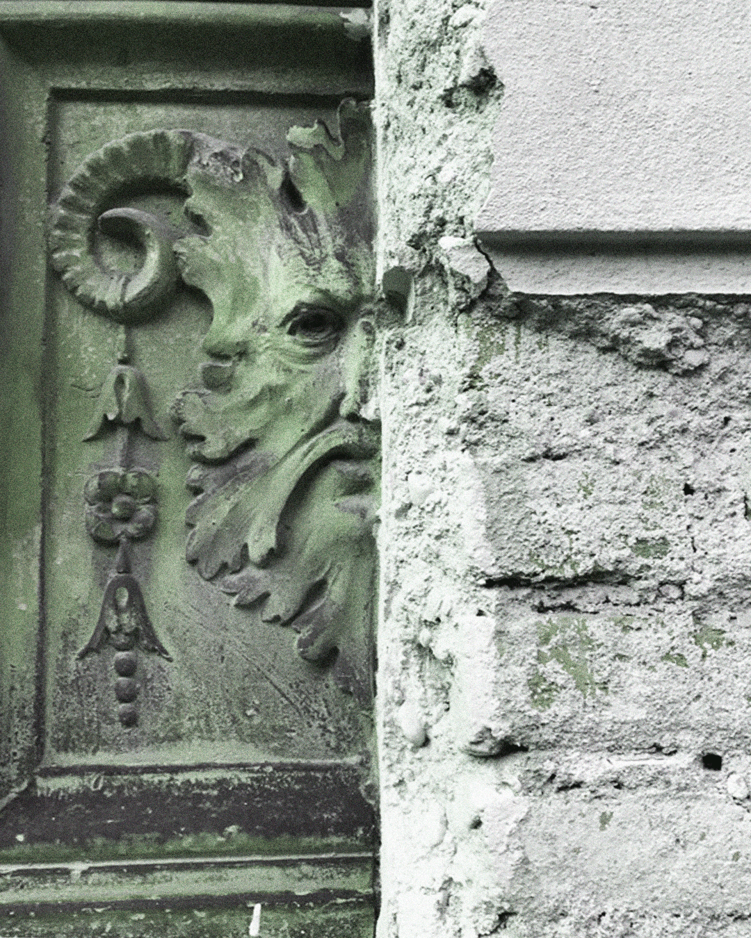 VIRIDE – Orto Parisi