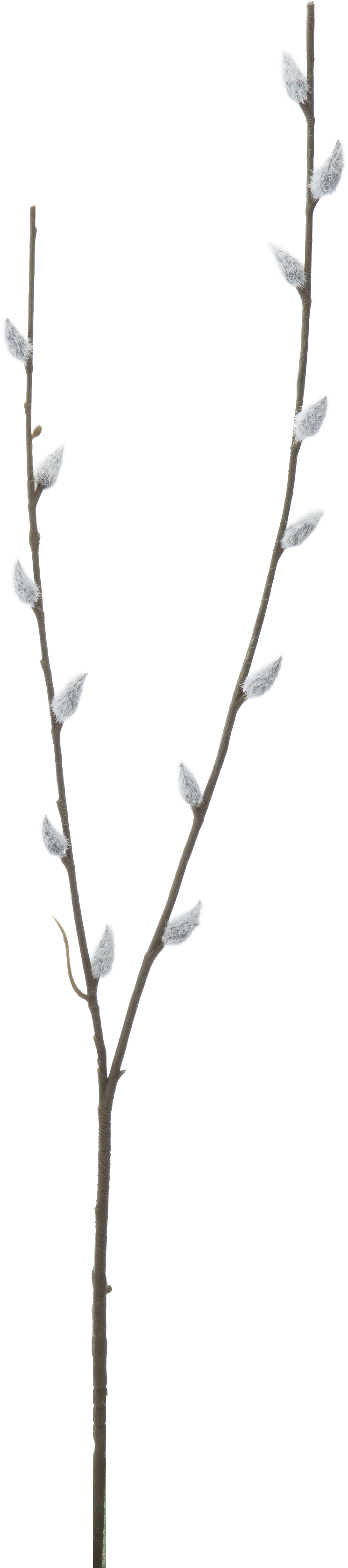 ﾈｺﾔﾅｷﾞ: 造花（アーティフィシャルフラワー） ｜ YDMオンラインストア