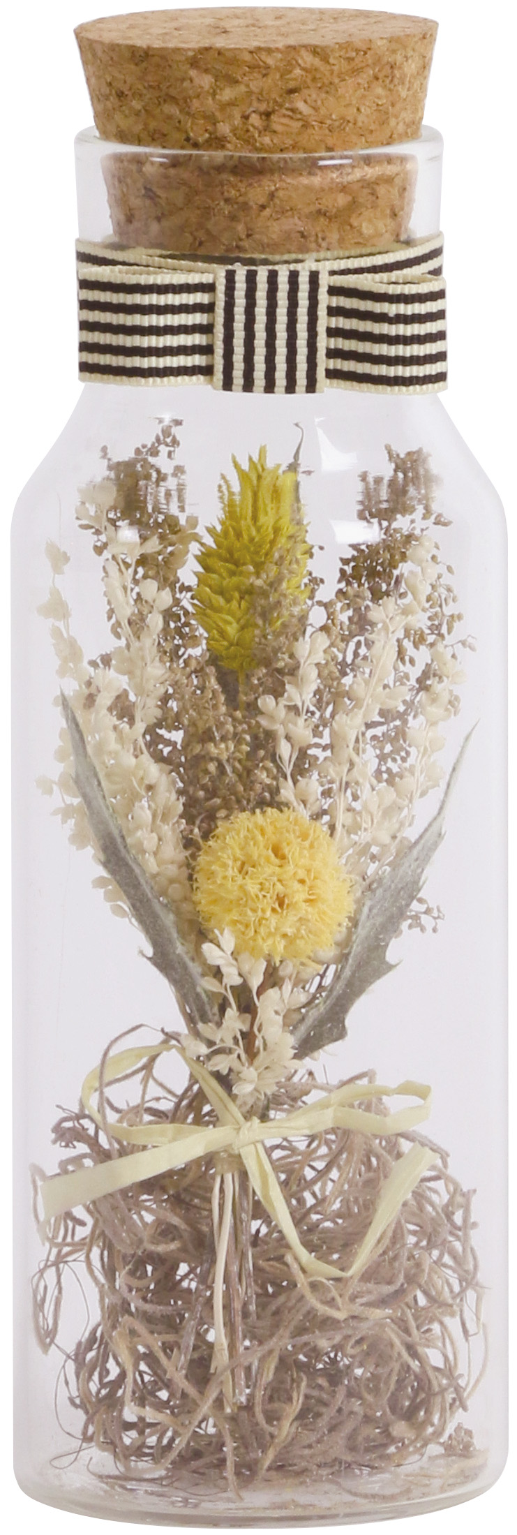 ﾄﾞﾗｲﾌﾗﾜｰ瓶入: ドライフラワー ｜ YDMオンラインストア ｜ 横浜