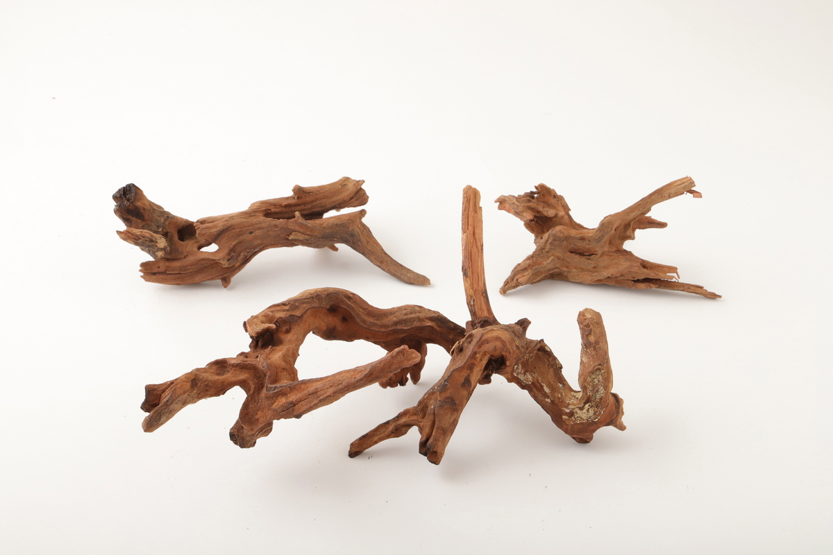 流木 ﾅﾁｭﾗﾙ: ドライフラワー ｜ YDMオンラインストア ｜ 横浜