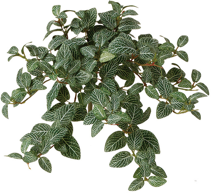 廃番】【送料別途】ﾌｨｯﾄﾆｱﾊﾝｷﾞﾝｸﾞ W35×L25cm [ﾌﾞｯｼｭ]: フェイク