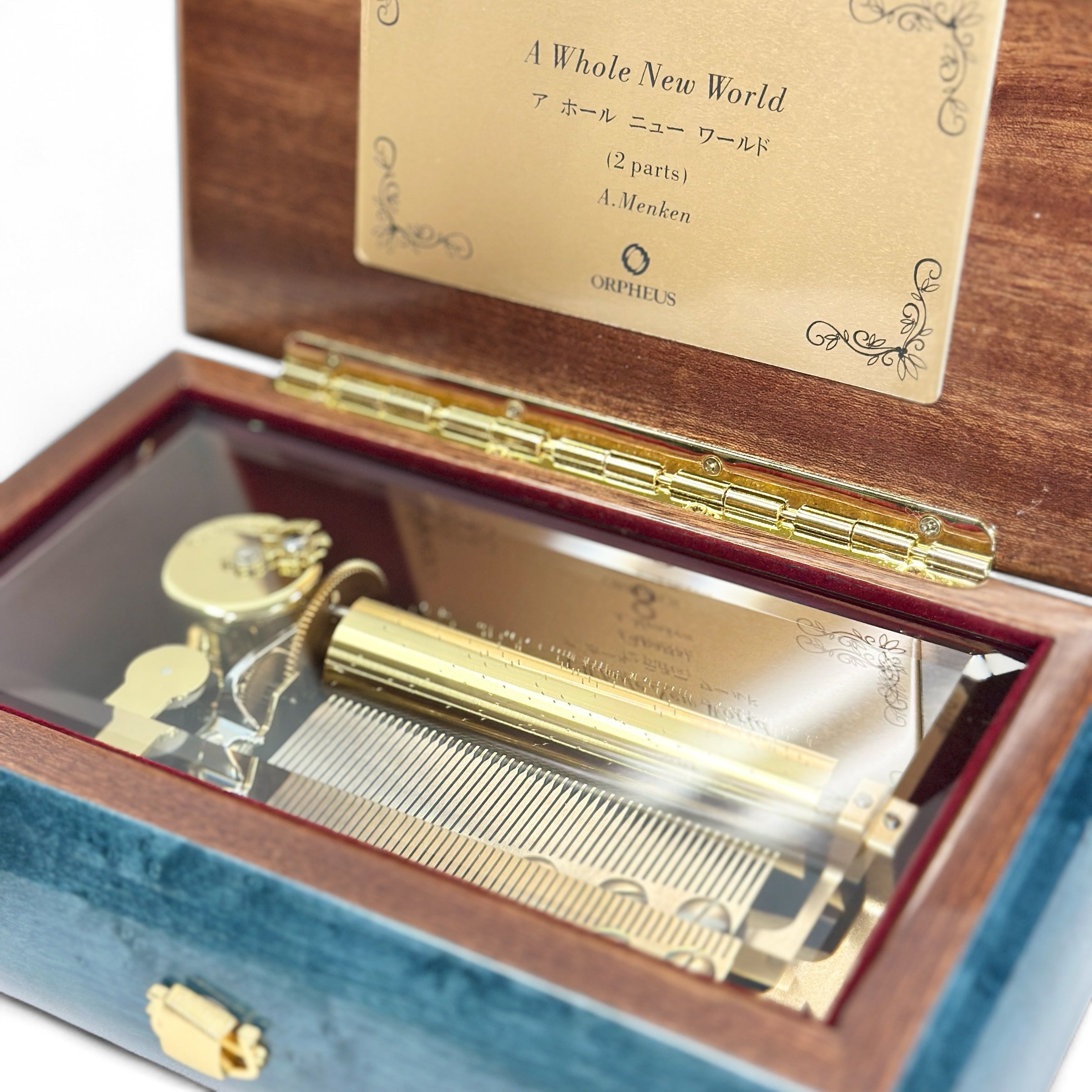 平日営業日午前中のご注文で即日発送】オルフェウス50弁 ホール ニュー