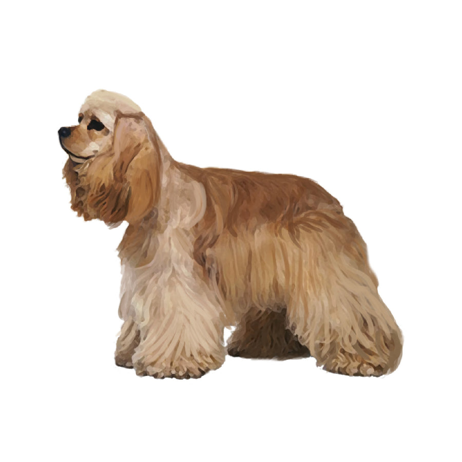 セット検査】アメリカンコッカースパニエル – Orivet Japan