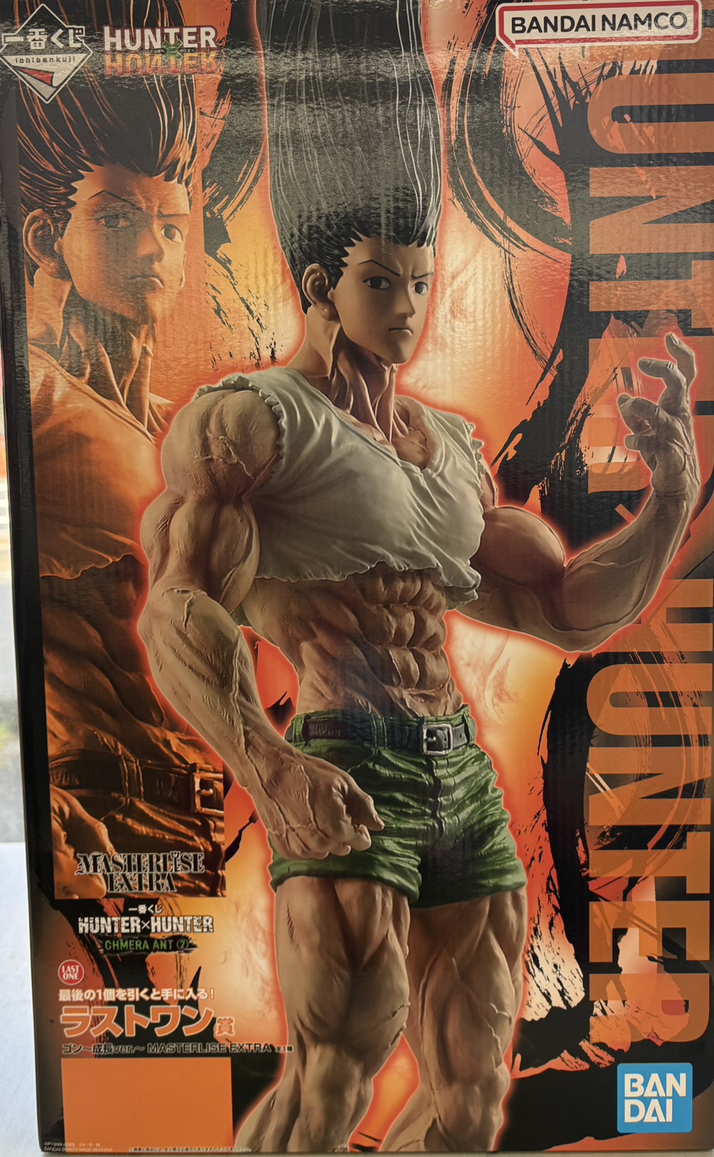 🌟一番くじ HUNTER×HUNTER CHMERA ANT 2 🌟 ラストワン賞 「ゴン～成長
