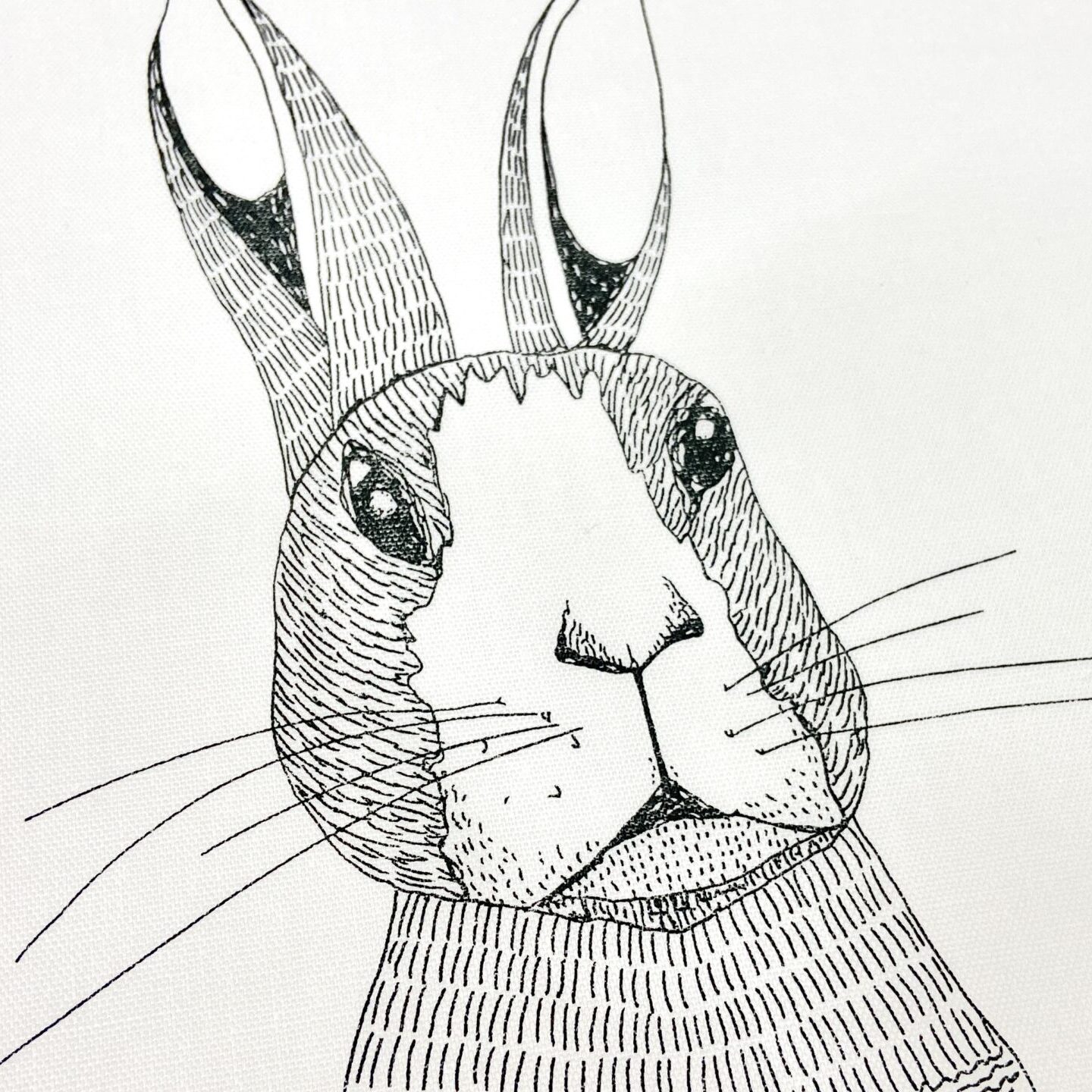 素朴なウサギさんが見つめるオックスプリント生地「野うさぎのパネル