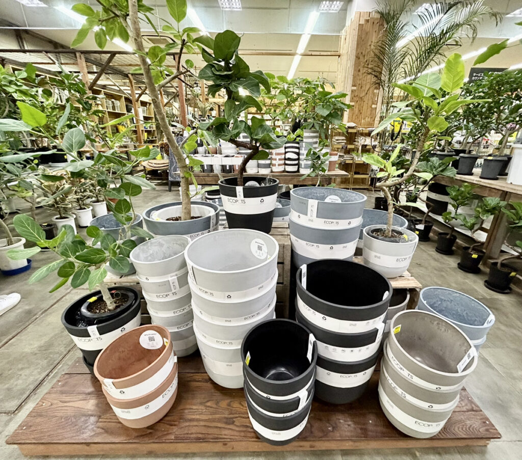 新商品の鉢【Ecopots】おすすめです♪ | オザキフラワーパーク