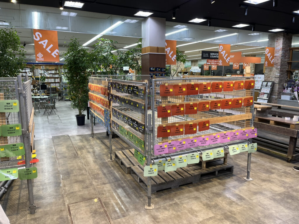 2025年福袋販売のご案内 1/3より販売開始！ | オザキフラワーパーク