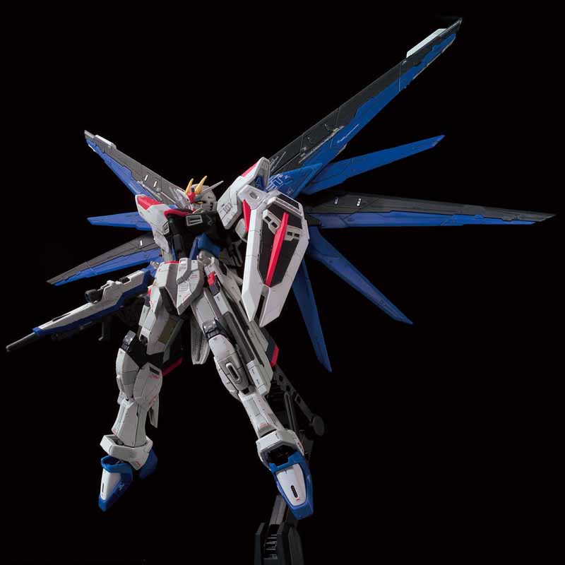 RG 1/144 THE GUNDAM BASE LIMITED ZGMF-X10A FREEDOM GUNDAM Ver.GCP