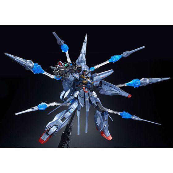 MG 1/100 PROVIDENCE GUNDAM [SPECIAL COATING] | GUNDAM | PREMIUM
