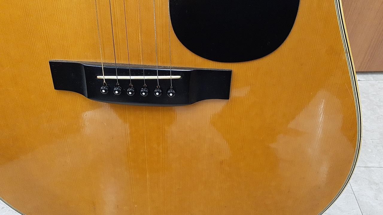 キャッツアイ(CAT'S EYES)|アコースティックギター|【ハードオフ公式