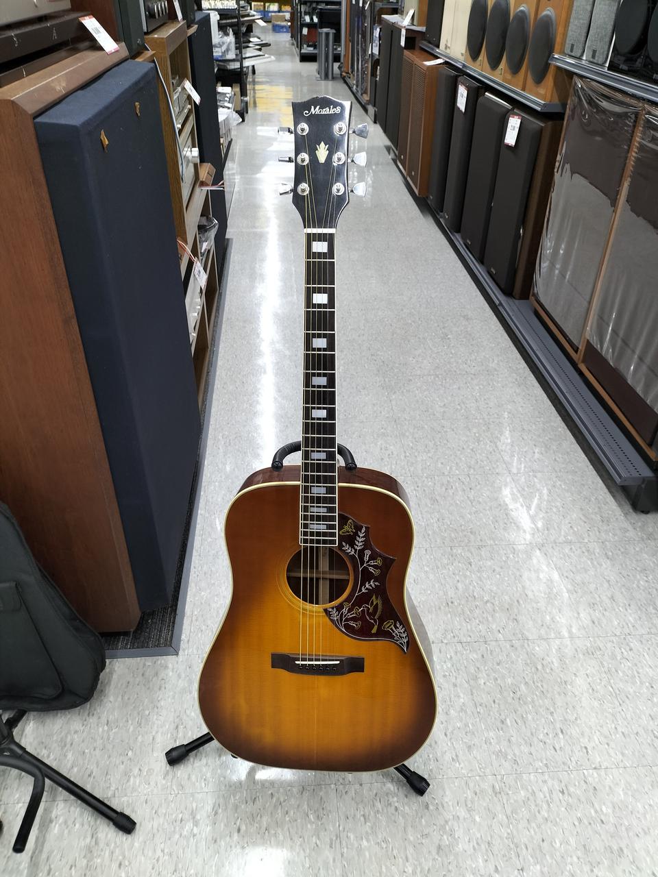 MORALES|アコースティックギター|【ハードオフ公式通販】オフモール