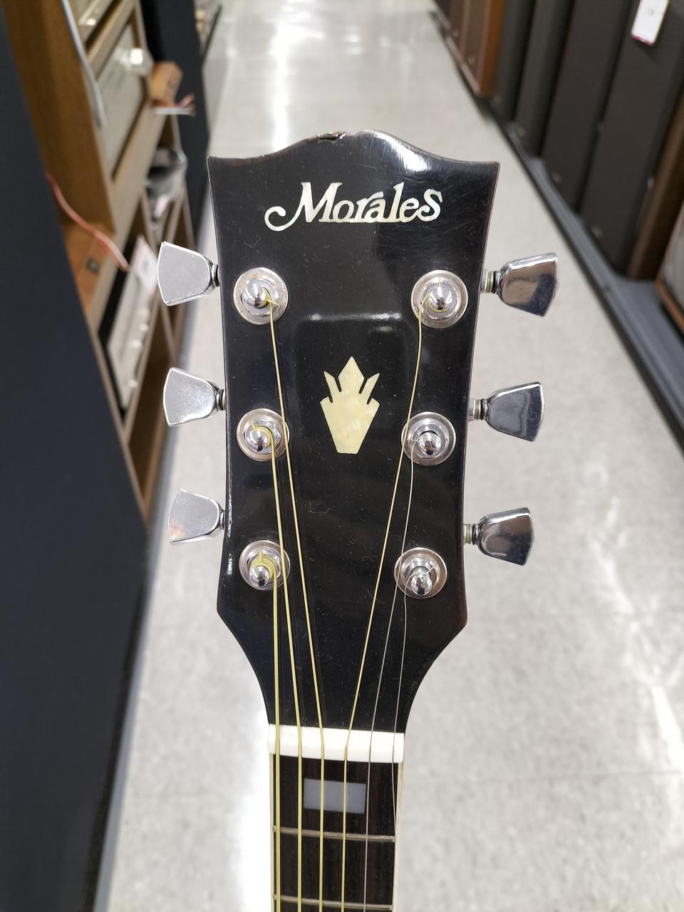 MORALES|アコースティックギター|【ハードオフ公式通販】オフモール