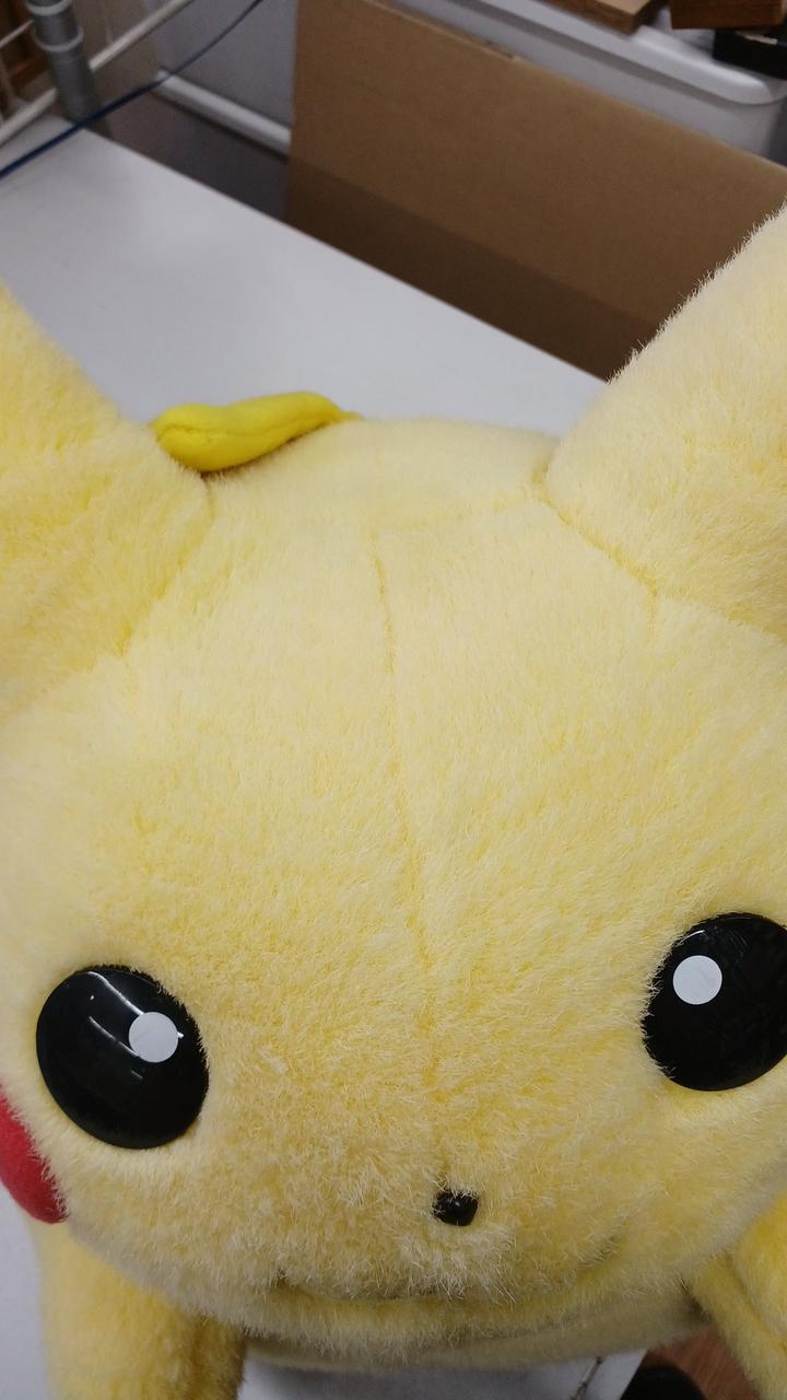 トミー(TOMY)|ピカチュウぬいぐるみ|【ハードオフ公式通販】オフモール