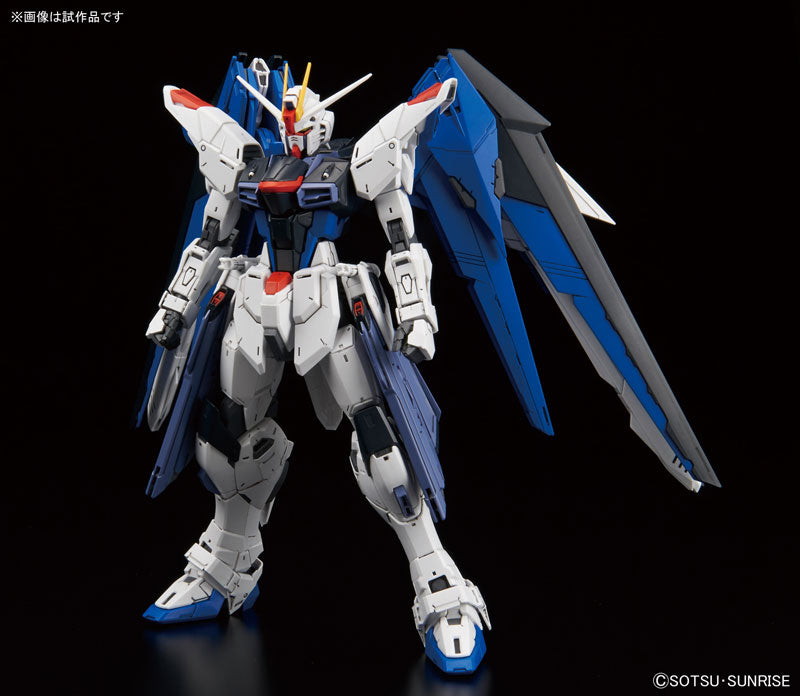 MG Freedom Gundam Ver. 2.0 1/100 — Panda Hobby