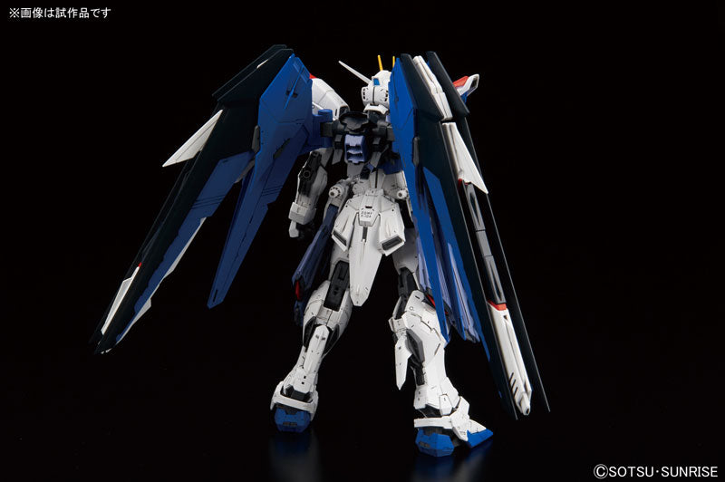 MG Freedom Gundam Ver. 2.0 1/100 — Panda Hobby
