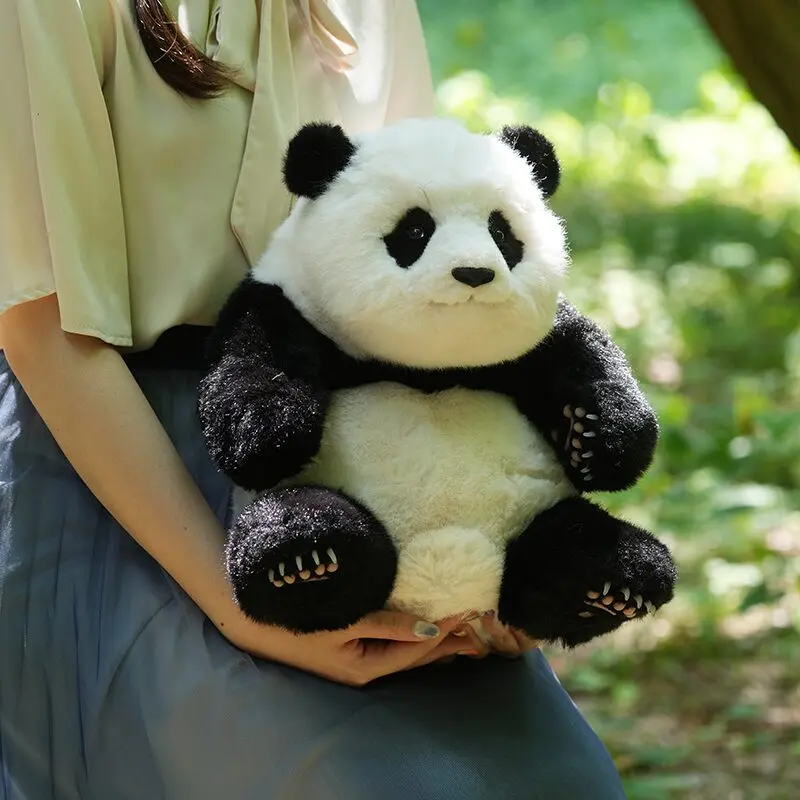 5ヶ月齢座り姿のリアルパンダ フーバオ | パンダプラネット