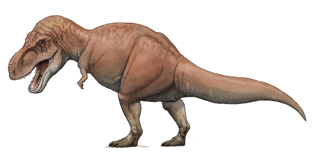 ティラノサウルス(Tyrannosaurus)・川崎悟司イラスト集