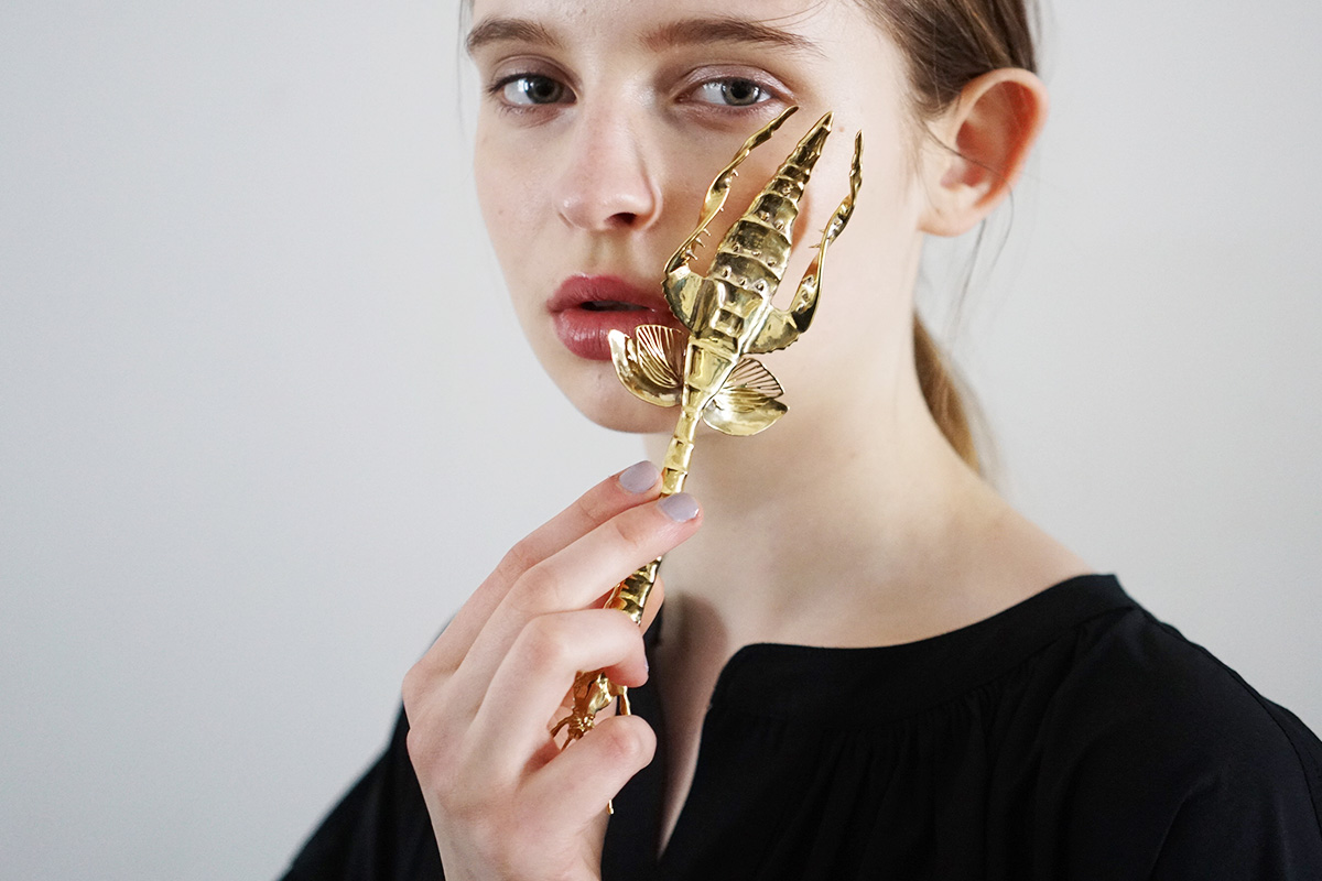 あちゃちゅむナナフシフォーク