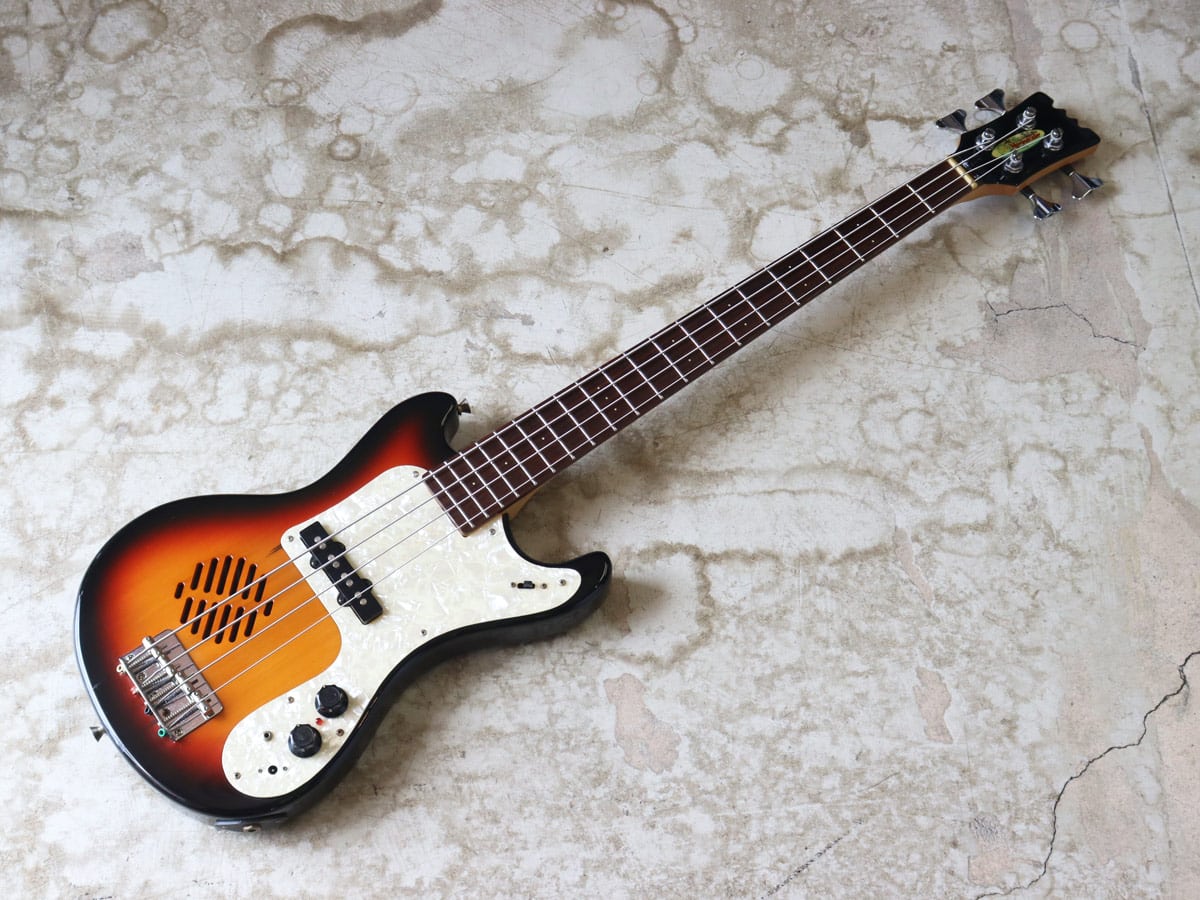 中古・難あり】Marine Rider アンプ内蔵ミニベース - 神奈川県の中古