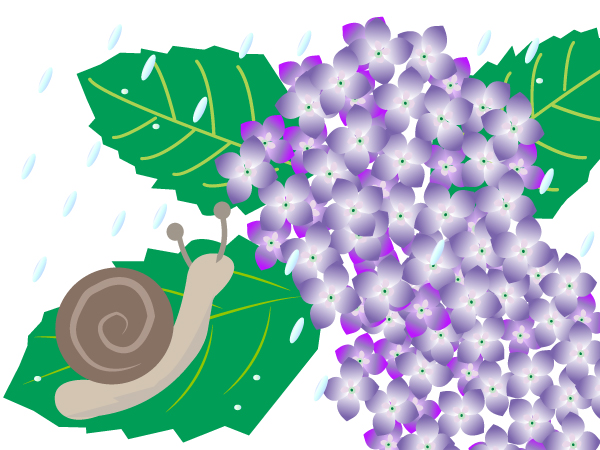 紫陽花とカタツムリ | イラスト素材パラダイス