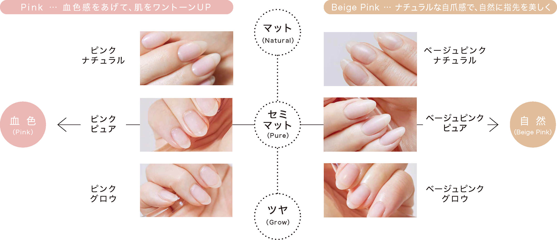 製品一覧｜paragel（パラジェル）｜公式サイト