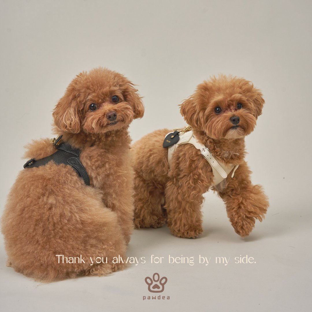 LEATHER NAME TAG 本革製名前入りチャーム – pawdea