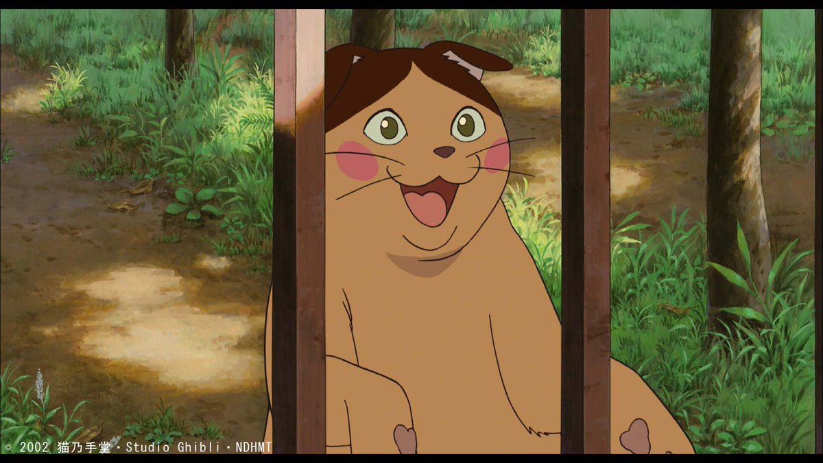 是非とも、私どもの住む猫の国へおいでくださいませー！ 今週金曜日は