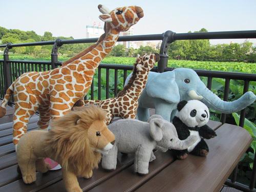 ぬいぐるみ「ポキポキシリーズ」 なんと、手・足はもちろんゾウや