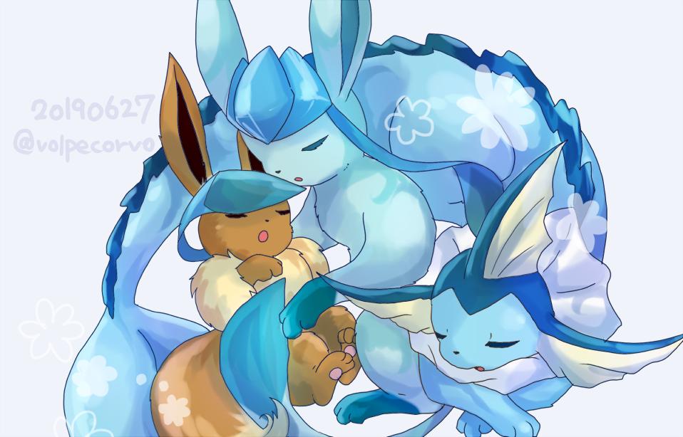 イーブイ ,グレイシア ,シャワーズ 「水枕とひんやりシート 」|天草の