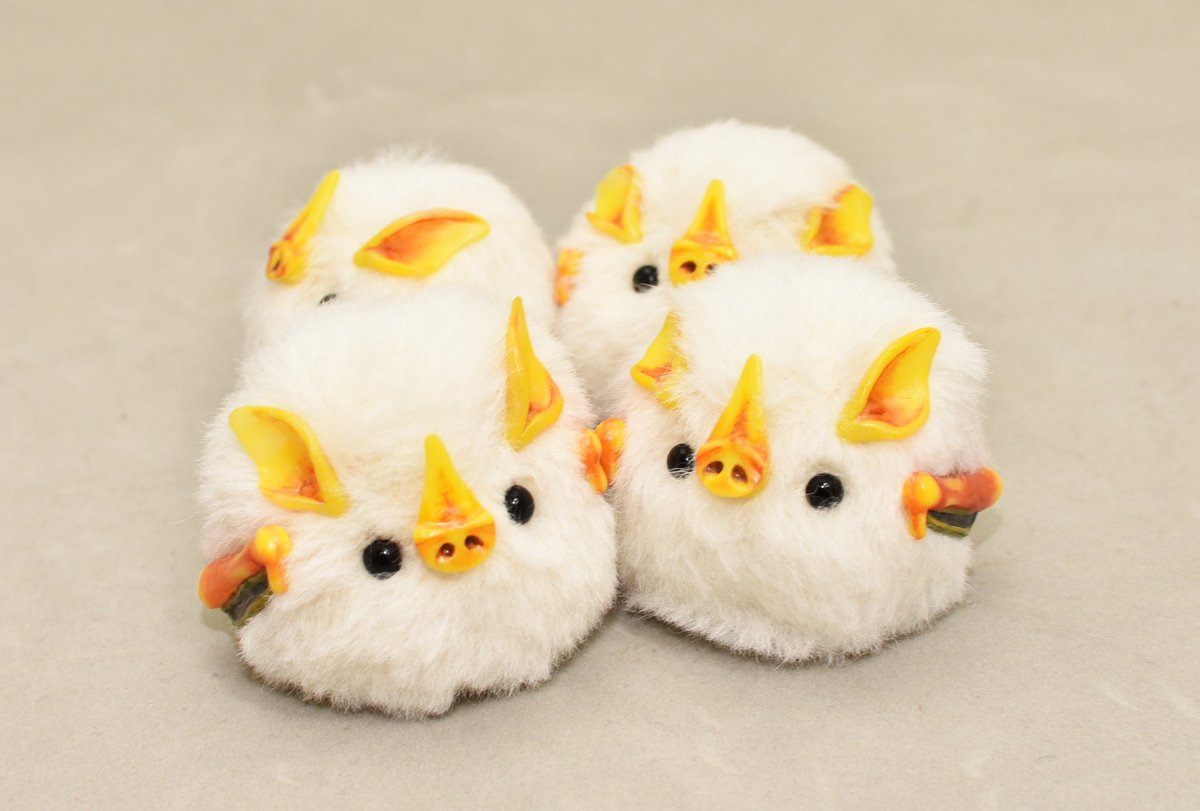 シロヘラコウモリさんも一緒に行くよ～！！ コロコロして可愛いよ☆ 笑