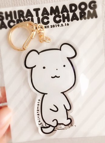 つららちゃん色紙（直筆サイン入り）としらたま犬アクキーはしらたま