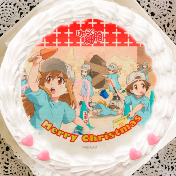 もうすぐ楽しいクリスマス🎅✨ プリロールHPにて『はたらく細胞