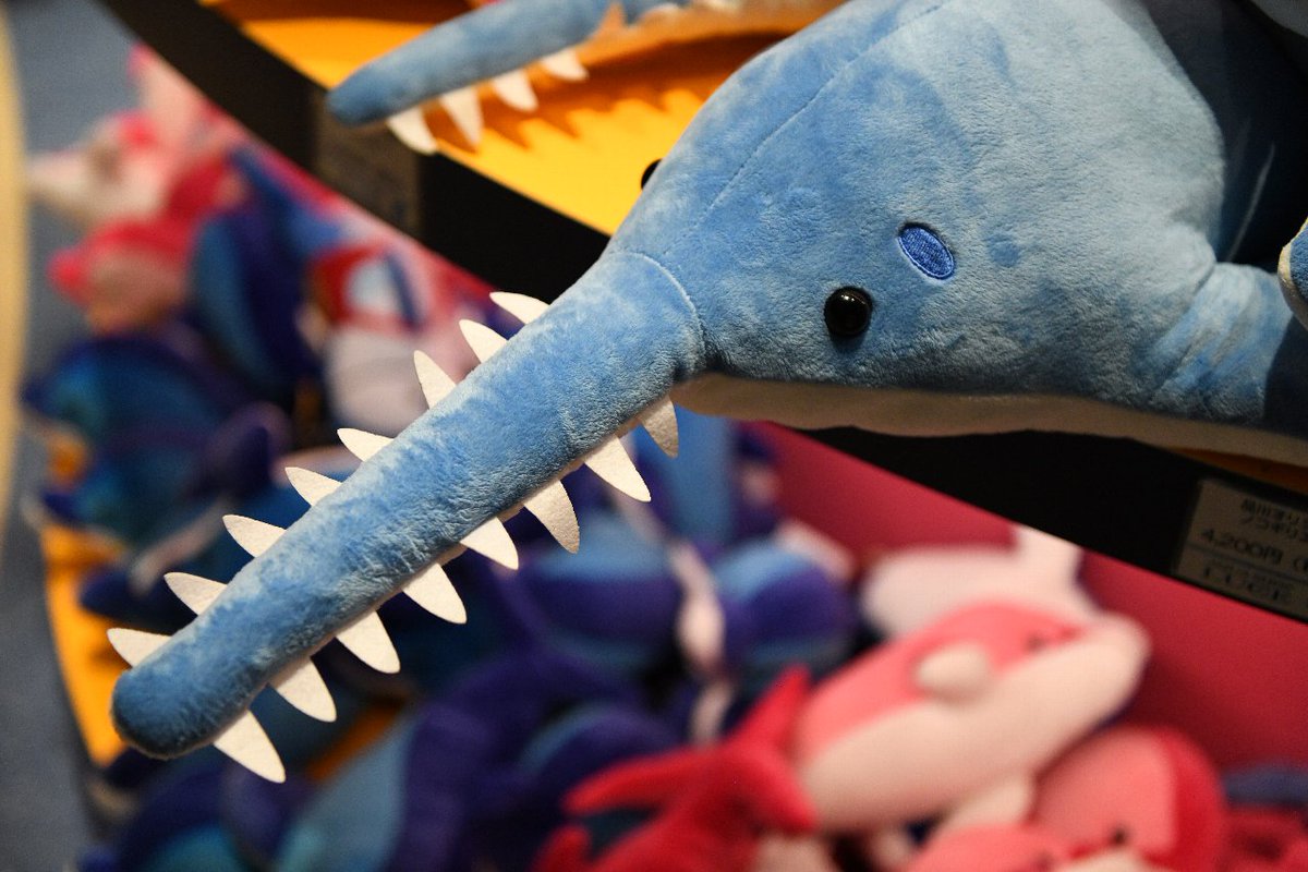 ノコギリエイのぬいぐるみが予想外にかわいい・・・ #アクアパーク品川