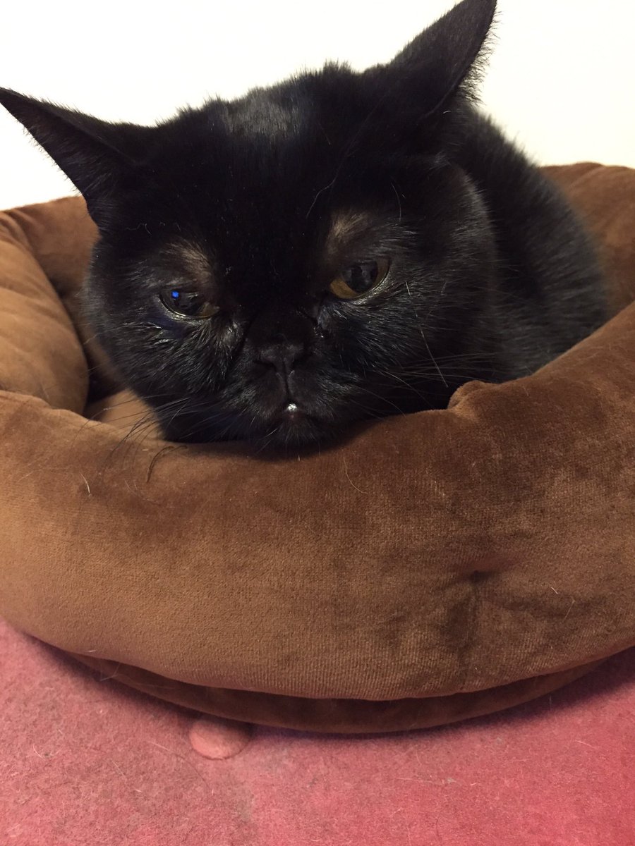 本日9月6日は【黒の日】なのだそう。という事で、再びPlastic Tree有村