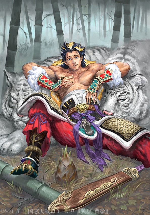 黄鬚 曹彰』(2011) 『錦帆賊 甘寧』(2012) #三国志大戦TCG より 半裸