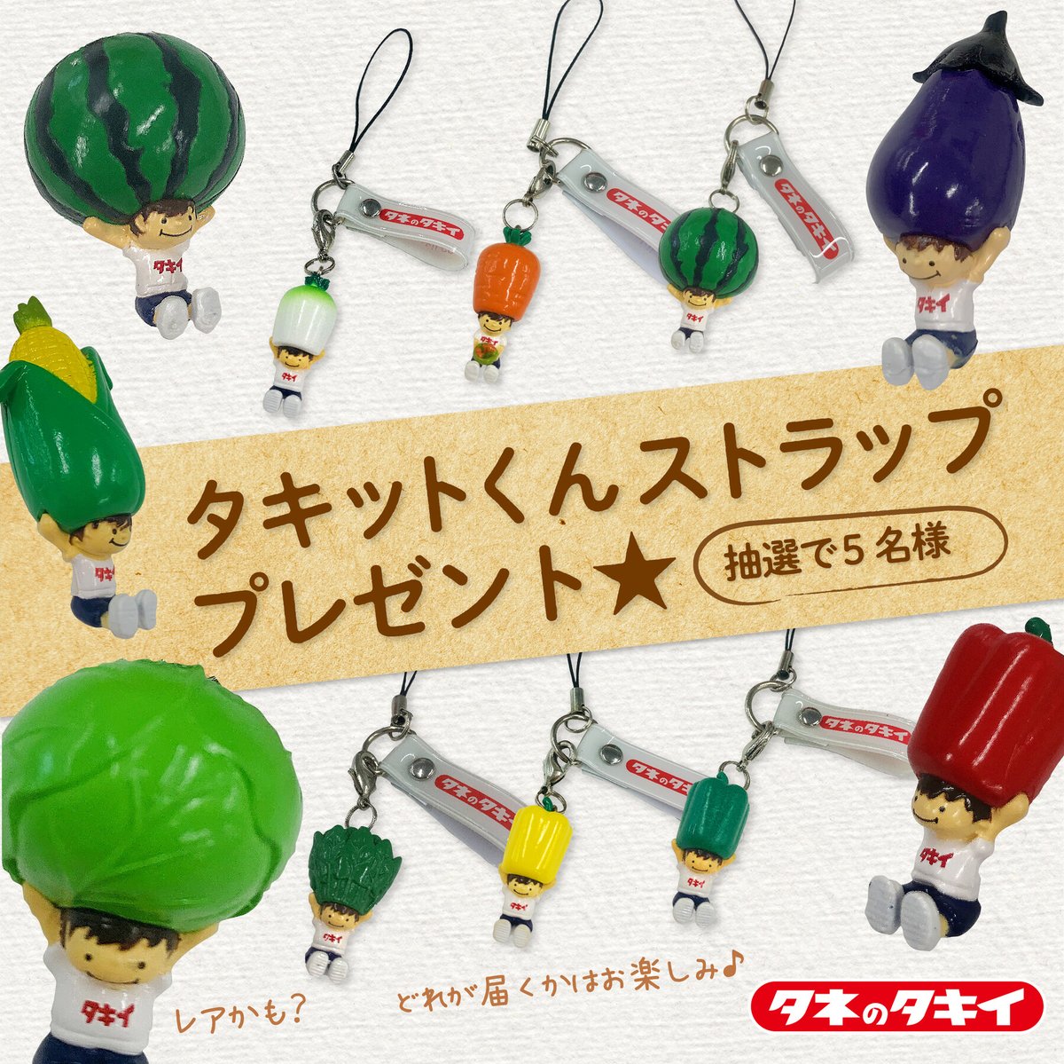 🤫Instagramでこっそり実施中 ／ タキイ公式Instagram