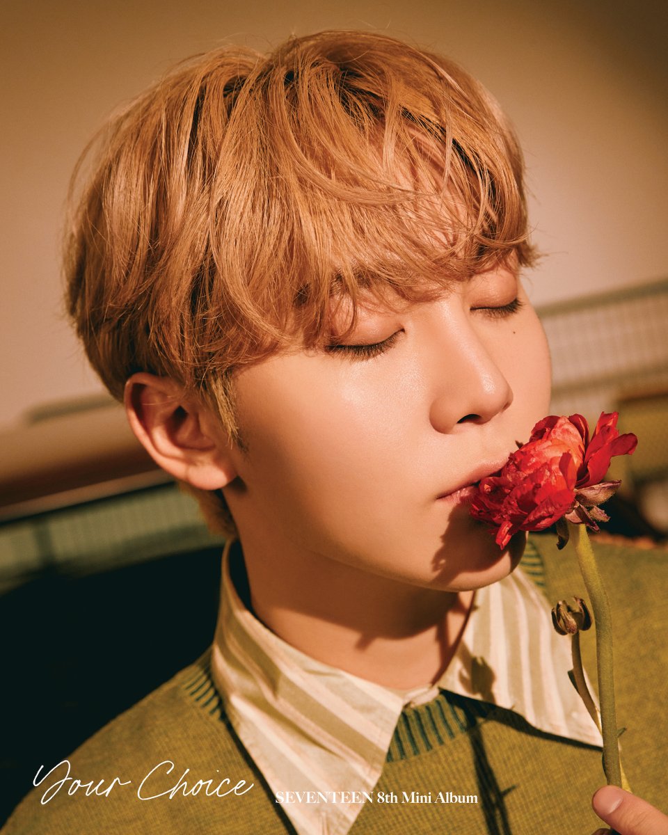 SEVENTEEN 8th Mini Album 'Your Choice' Official Photo ONE SIDE Ver